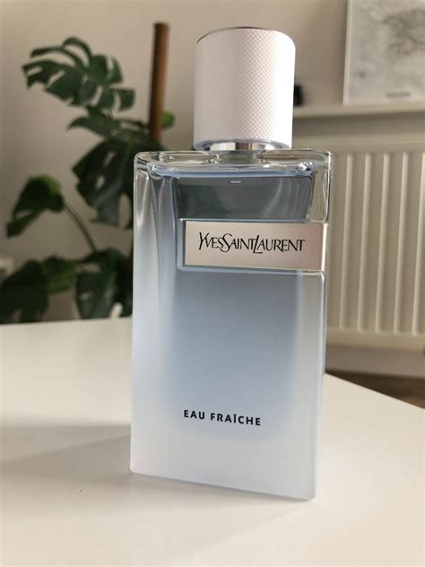 ysl krakow